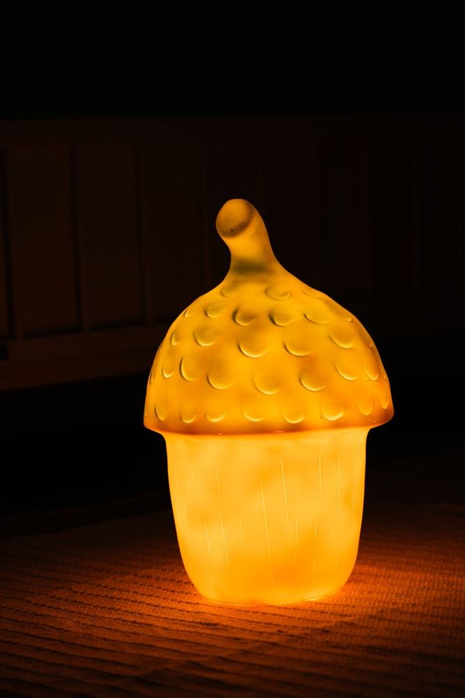 Egmont Lampe Eichel Terra + Dimmer. 20x30