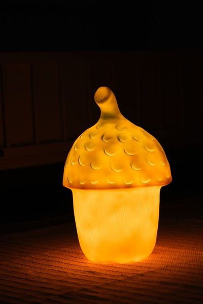 Egmont Lampe Eichel Terra + Dimmer. 20x30