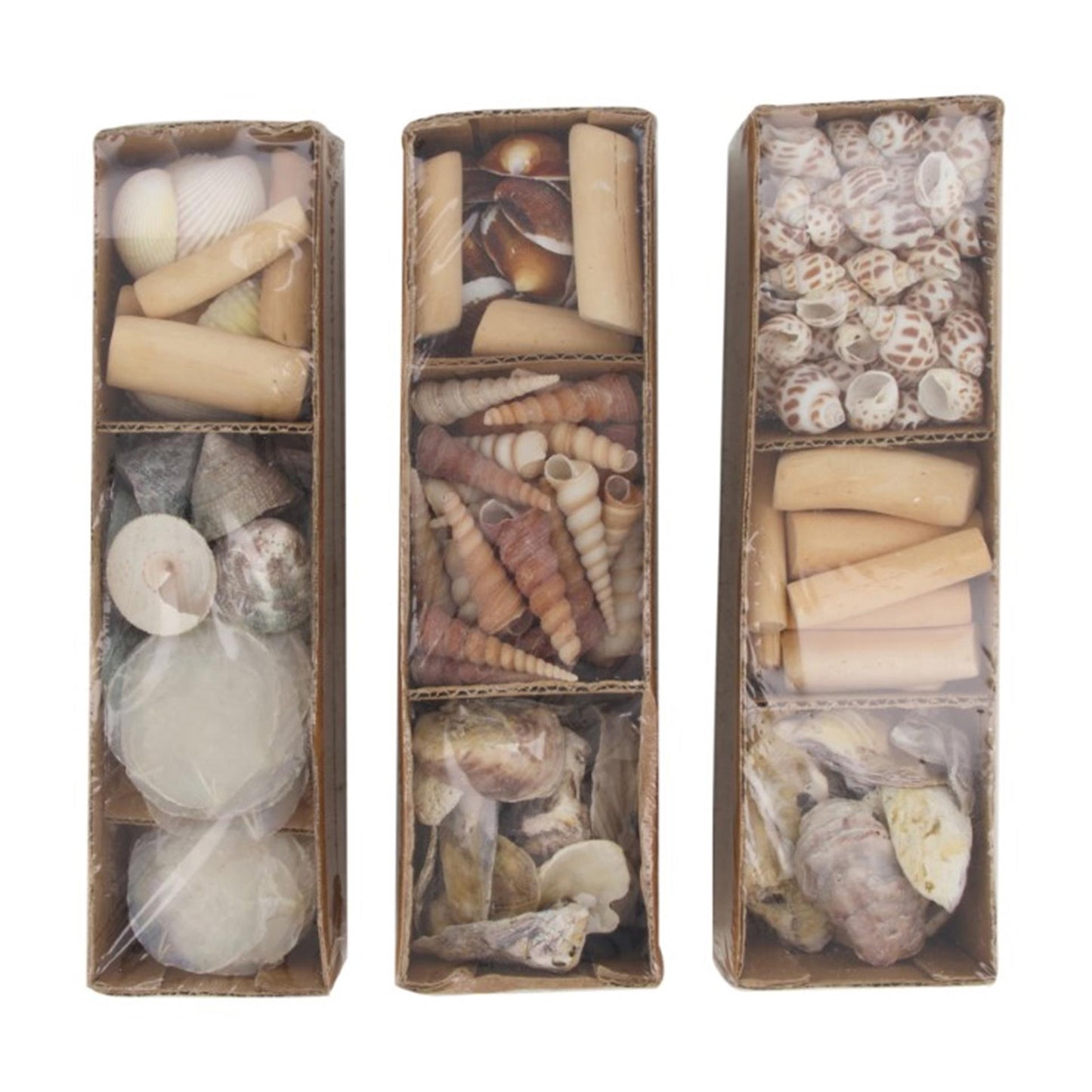 Dijk Natural Collections Muscheln im Tablett 28x8x8cm