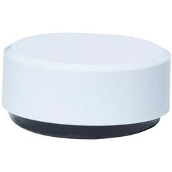 Whiteboard-Magnete Maul 6178102 weiß, 20 Stück