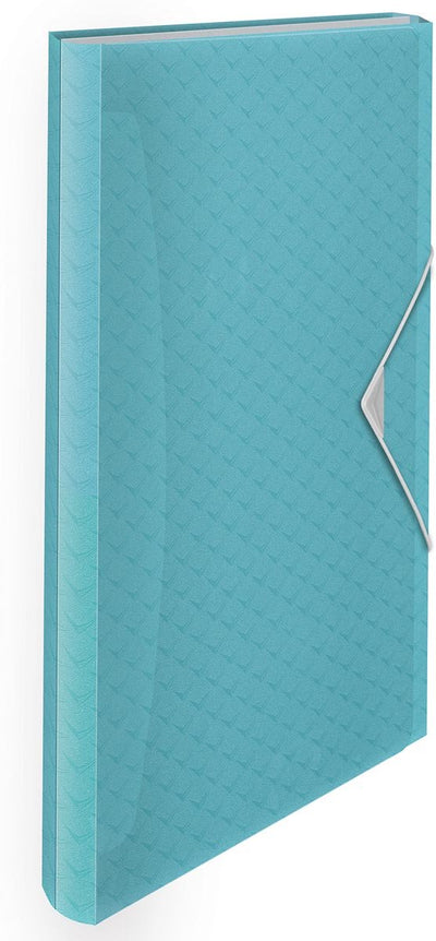 Esselte Colour'breeze A4 erweiterbarer Projektordner – Organizer mit 5 Registern und 6 Fächern – Blau