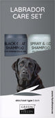 Greenfields Fellpflegeset für Labrador – schwarzes Fellshampoo und Spray Go Trockenshampoo 250 ml
