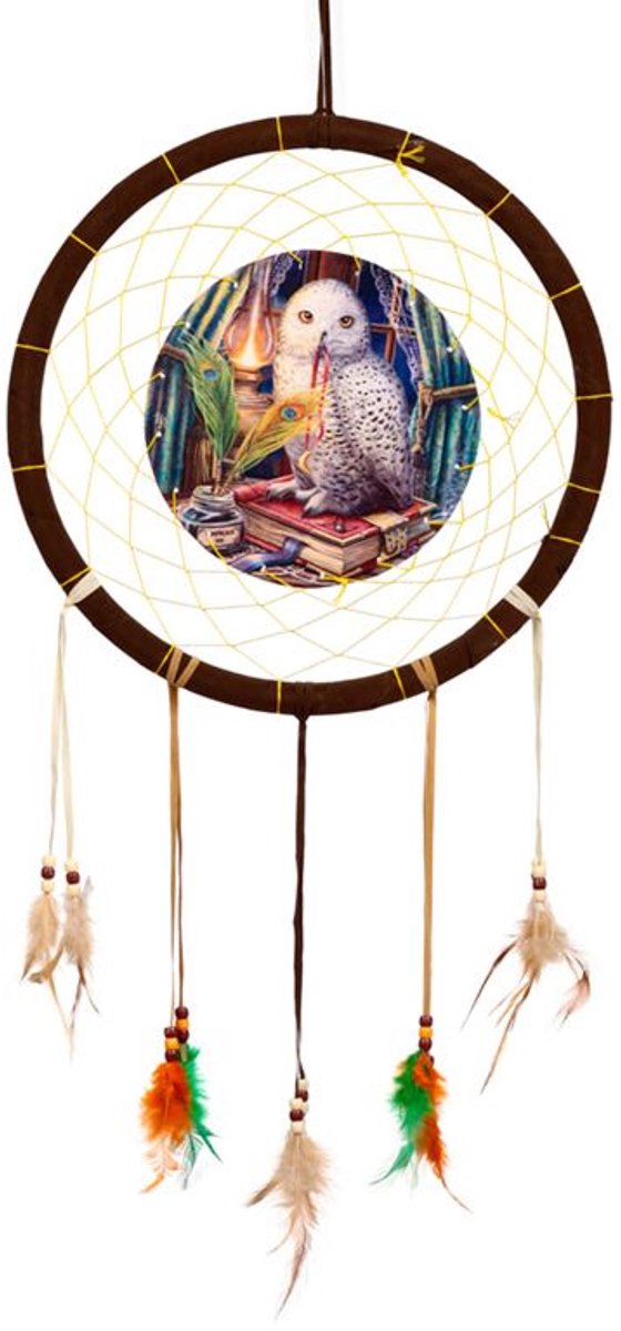 Lisa Parker Wachter von Sprichwörtern Owl Dreamcatcher 33 cm