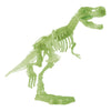 Leuchten Sie im dunklen T-Rex-Ausgrabungssatz