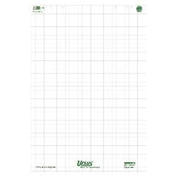 Ursus Flipchartblöcke grün kariert 20 Blatt