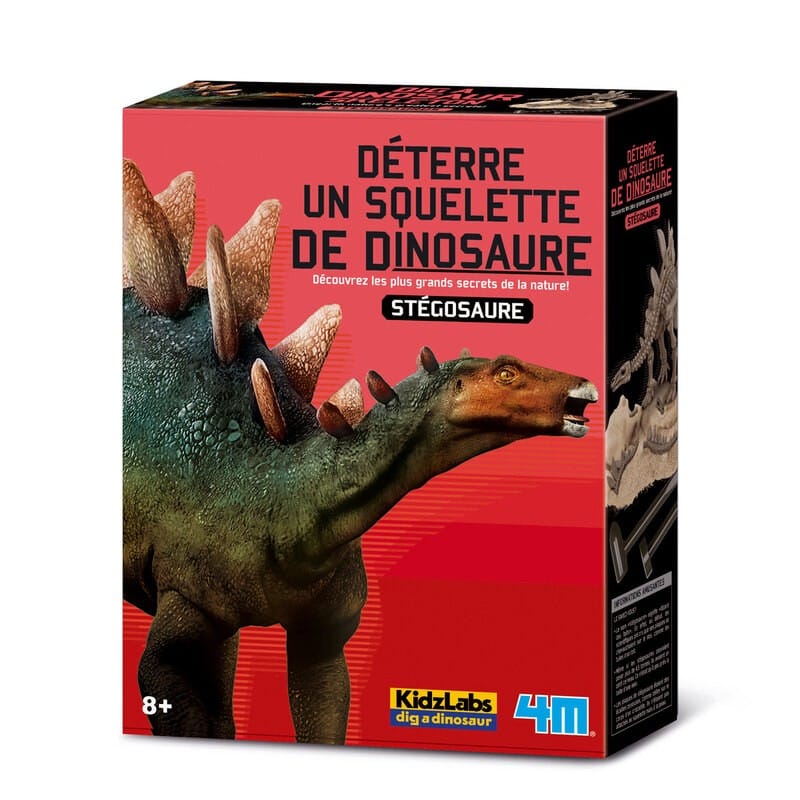 4m grabe deinen eigenen Dinosaurier auf Stegosaurus kidzlabs