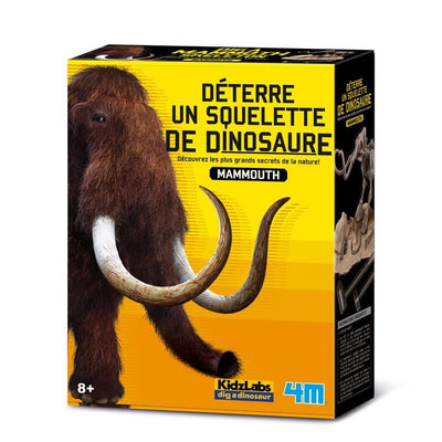 4m grabe deinen eigenen Dinosaurier auf den Mammoet KidzLabs