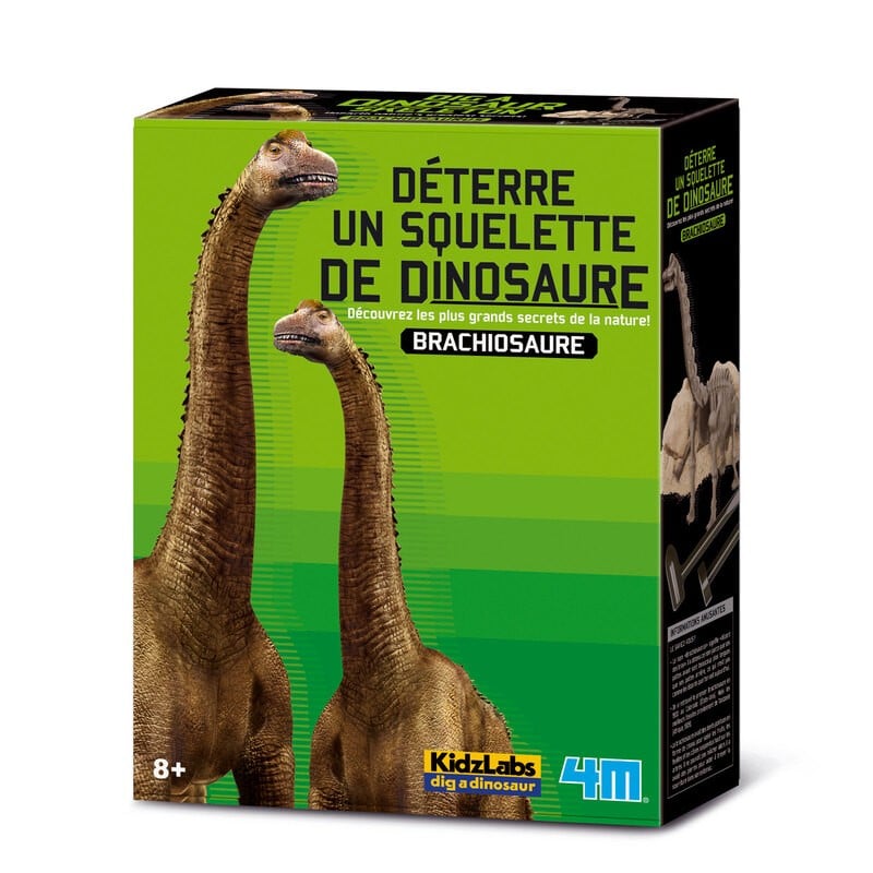 4m graben Sie Ihren eigenen Dinosaurier auf den T Rex KidzLabs