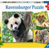 Ravensburger - Puzzle Panda Tiger und Lion 3x49st.