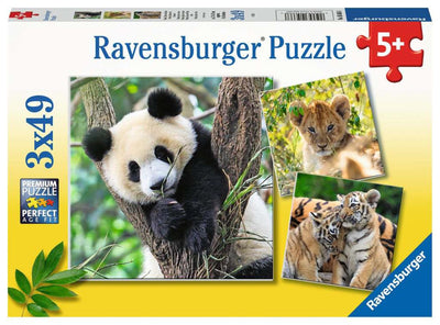 Ravensburger - Puzzle Panda Tiger und Lion 3x49st.