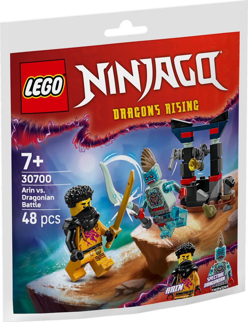 Lego Ninjago 30700 Arin gegen Draconier