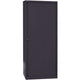 Rolltürenschrank hoch Stahl 80x43x198cm schwarz 4 Einlegeböden