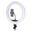 Studioking LED-Ringlampe 65W LR-650