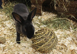 Happy Pet Playball Willow - afbeelding 2