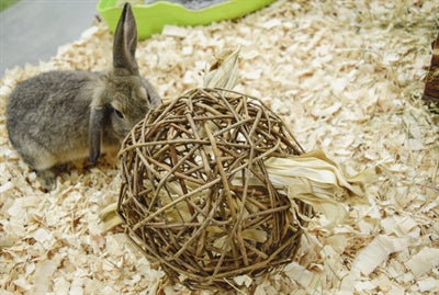 Natur erstes glückliches Haustierspielzeug Weide