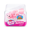 Haustiere lebendig Schwimmen Axolotl Assorti
