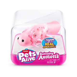 Haustiere lebendig Schwimmen Axolotl Assorti
