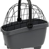 PET -Paket neuer Looxs Clipper - Schwarz