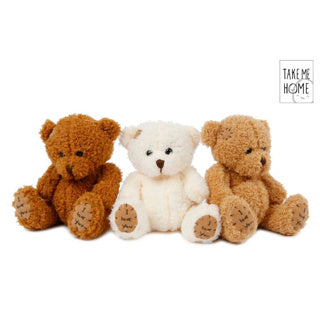 Nimm mich nach Hause Plüschbär 18 cm 3 Assorti