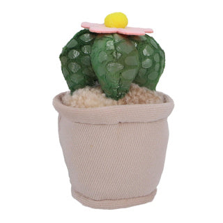 Pluchiez Plüschpflanzen 15 cm Assorti