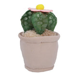 Pluchiez Plüschpflanzen 15 cm Assorti - afbeelding 2