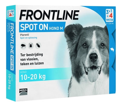 Frontline Hundespot auf Medium