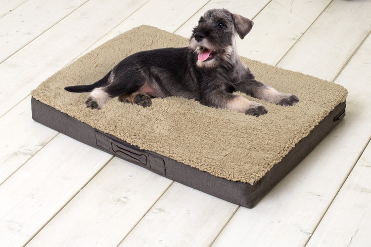 Sun Garden Sun Garden Buddy Orthopäden Hundekissen 72x50x8cm Beige Donkerbuin