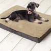 Sun Garden Sun Garden Buddy Orthopäden Hundekissen 120x72x10 cm Beige Donkerbuin