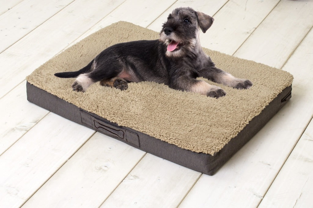 Sun Garden Sun Garden Buddy Orthopäden Hundekissen 120x72x10 cm Beige Donkerbuin