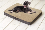Sun Garden Sun Garden Buddy Orthopäde Hundekissen 140x100x10 cm Beige Donkerbuin - afbeelding 1