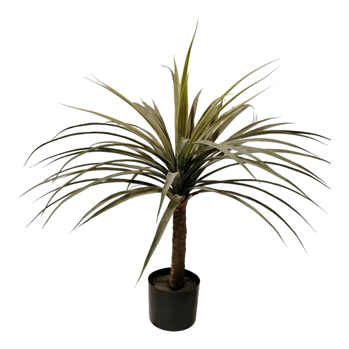 Mansion Atmosphäre Kunstpflanze Dracaena 80cm