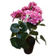 Mansion Atmosphäre Kunstpflanze Pelargonie rosa 42cm