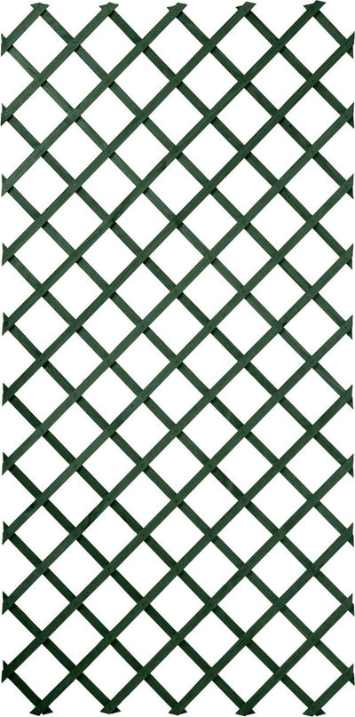 Natur Nature Pflanze Kletterregal 100x200 cm Holz Grün 6041704
