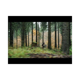 Antriebsgürtel CDC Carbon Drive 115T 1265x12mm schwarz - afbeelding 2