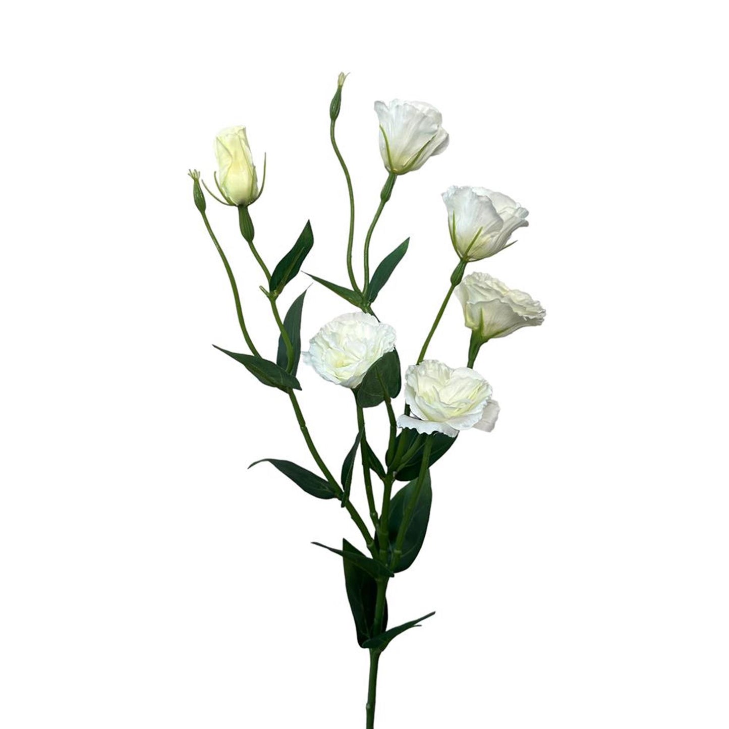 Roberts Collection Kunstblumen-Lisianthus-Spray, 80 cm, weiß