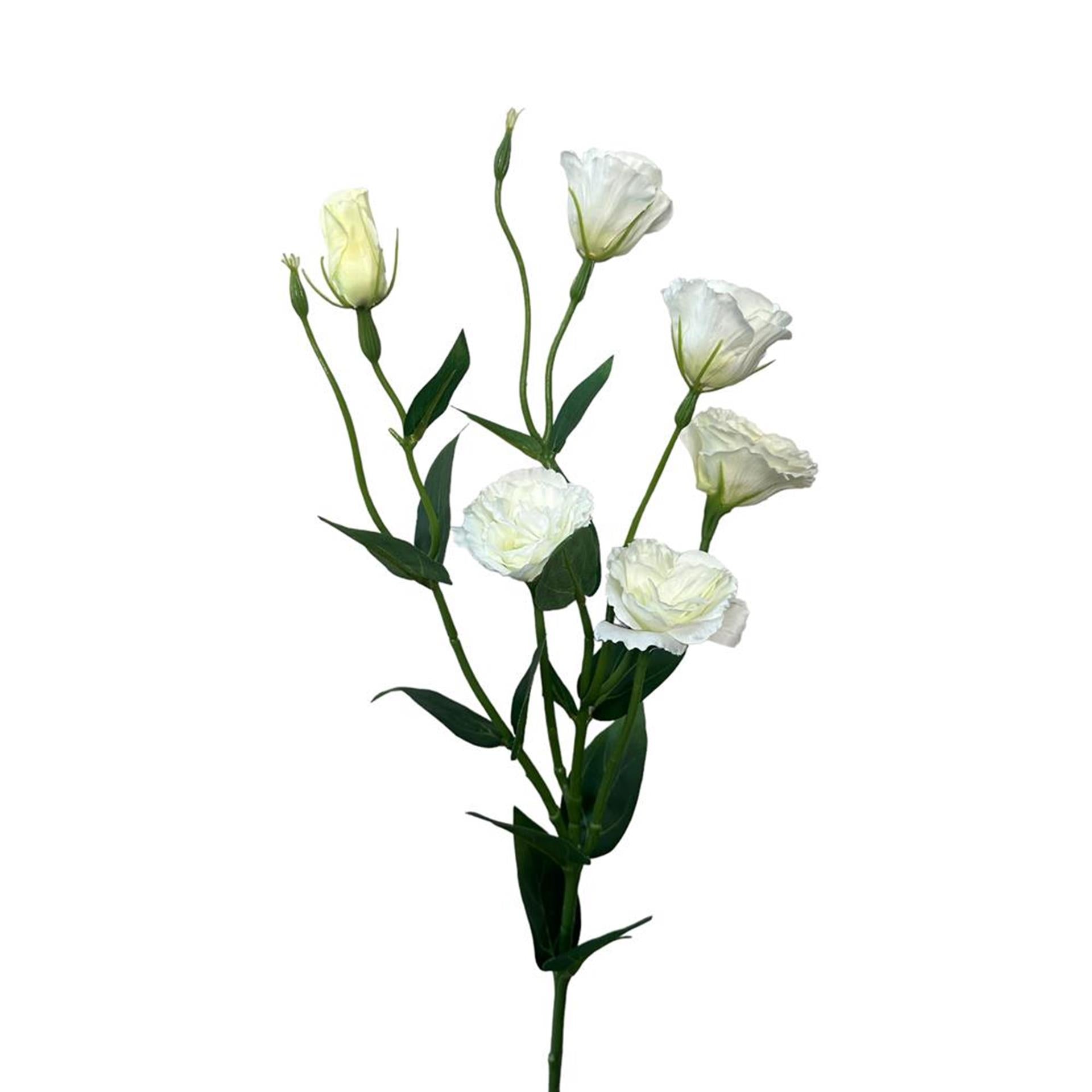 Roberts Collection Kunstblumen-Lisianthus-Spray, 80 cm, weiß