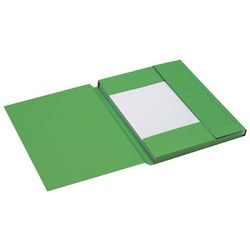 Staubschutzmappe Spektrum Djois A6010-245 Karton 255 g m2 A4 grün 3 Klappen recycelt