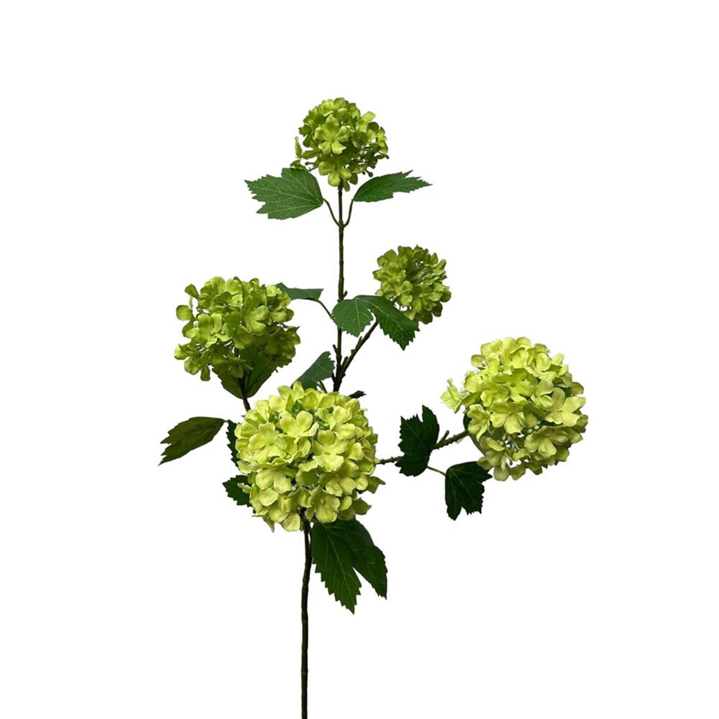 Roberts Collection Kunstblumen-Schneeballspray 83 cm grün