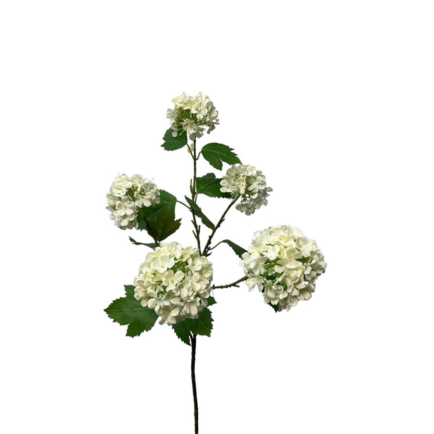 Roberts Collection Kunstblumen-Schneeball-Spray, 83 cm, Creme