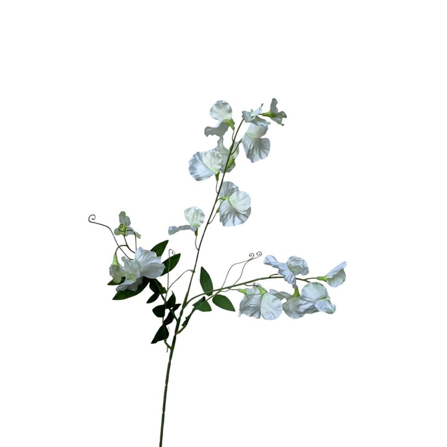 Roberts Collection Kunstblume, Duftwicke, 76 cm, weiß