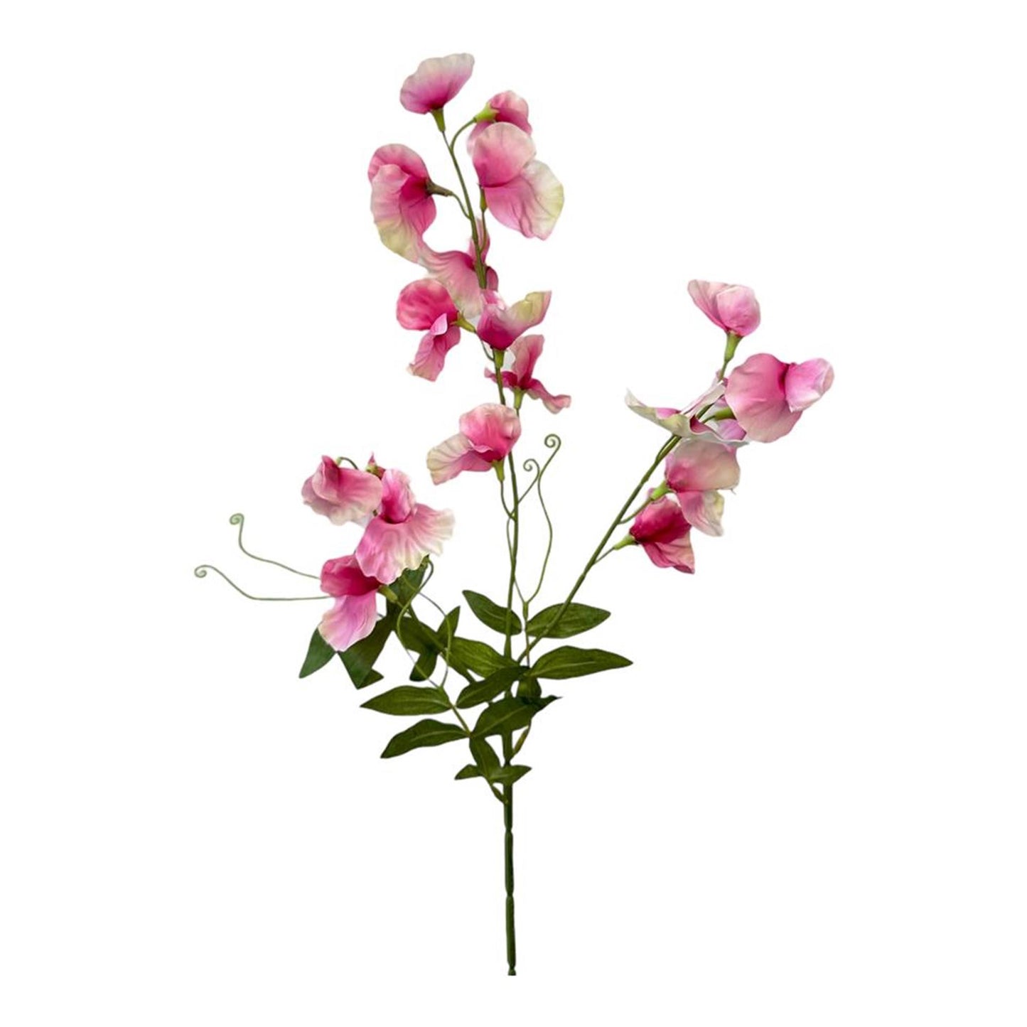 Roberts Collection Kunstblume, Duftwicke, 75 cm, rosa