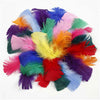 Federn in verschiedenen Farben 7-8 cm, 50gr