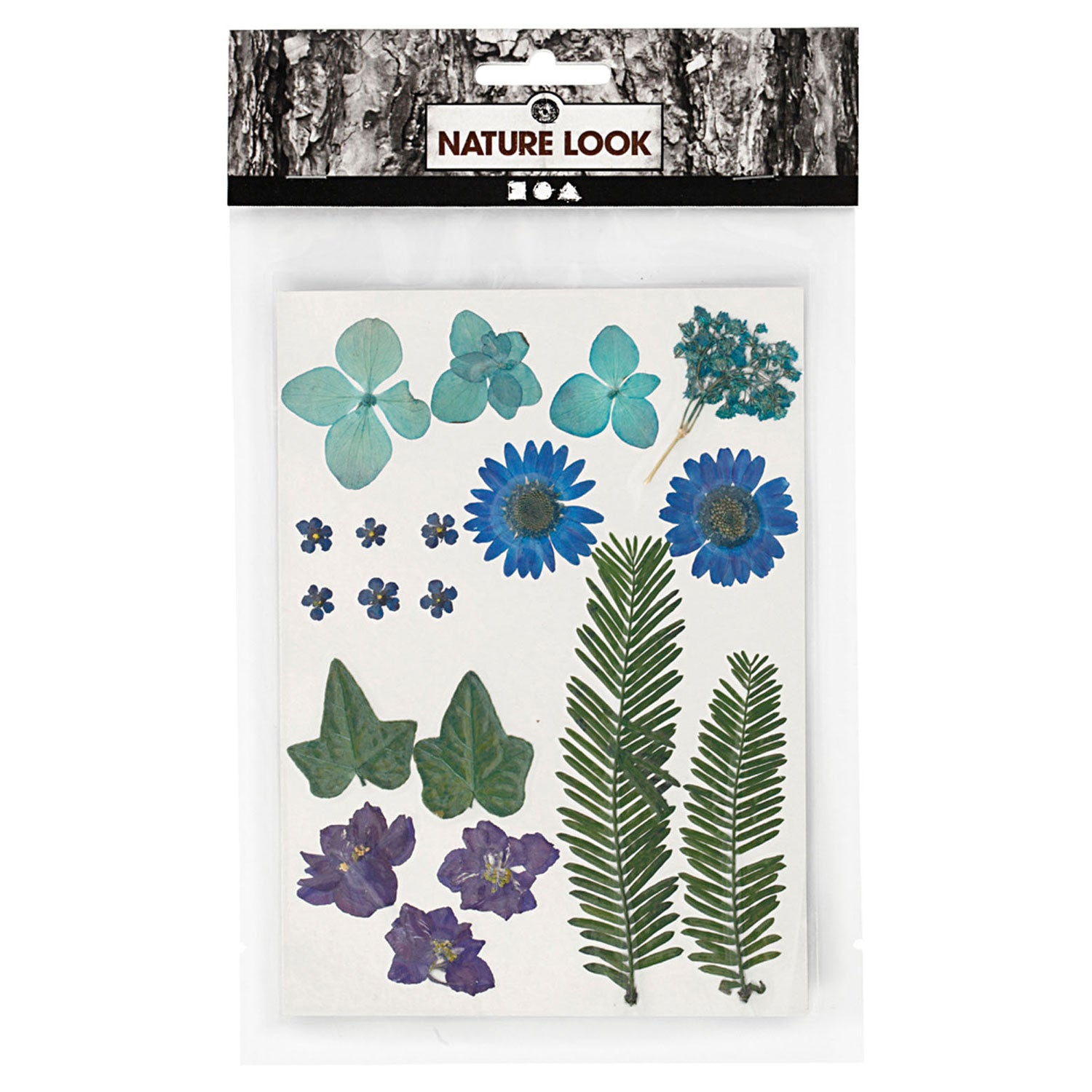 Trockene Blumen und Blätter blau, 19dlg.