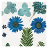Trockene Blumen und Blätter blau, 19dlg.