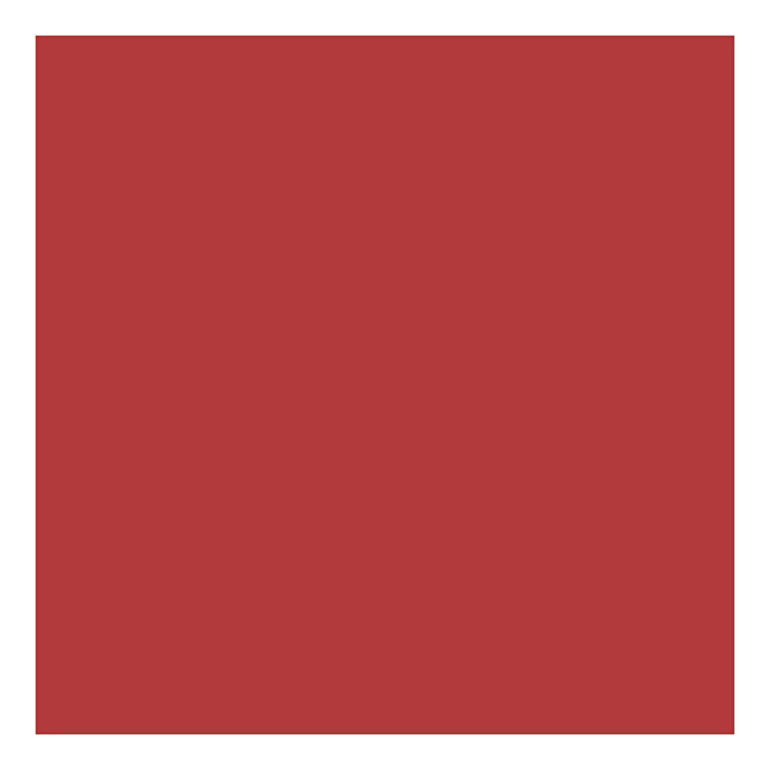 Creativ Company Cardboard Red A4 220g, 10st.