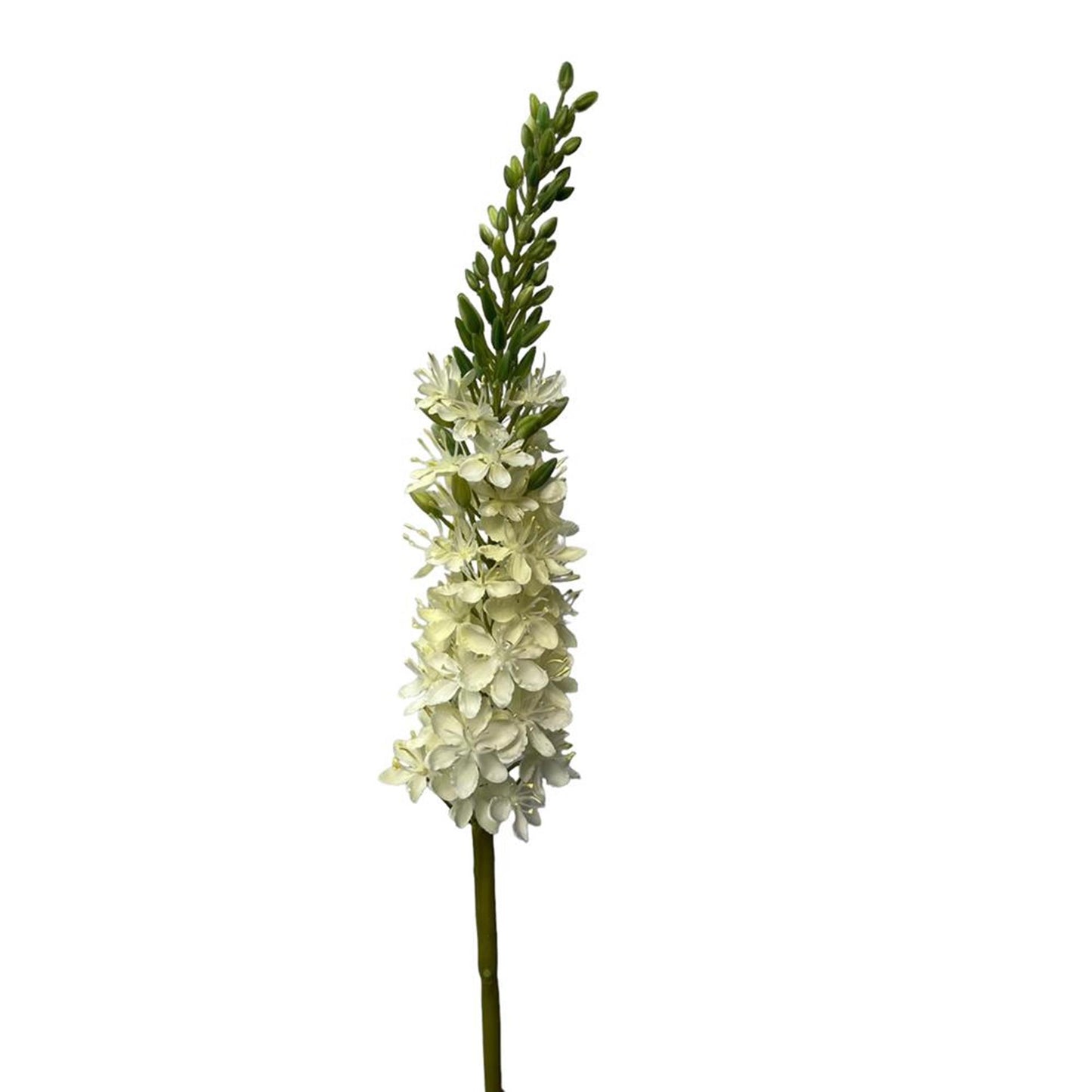 Roberts Collection Kunstblumen-Eremures-Spray, 82 cm, weiß