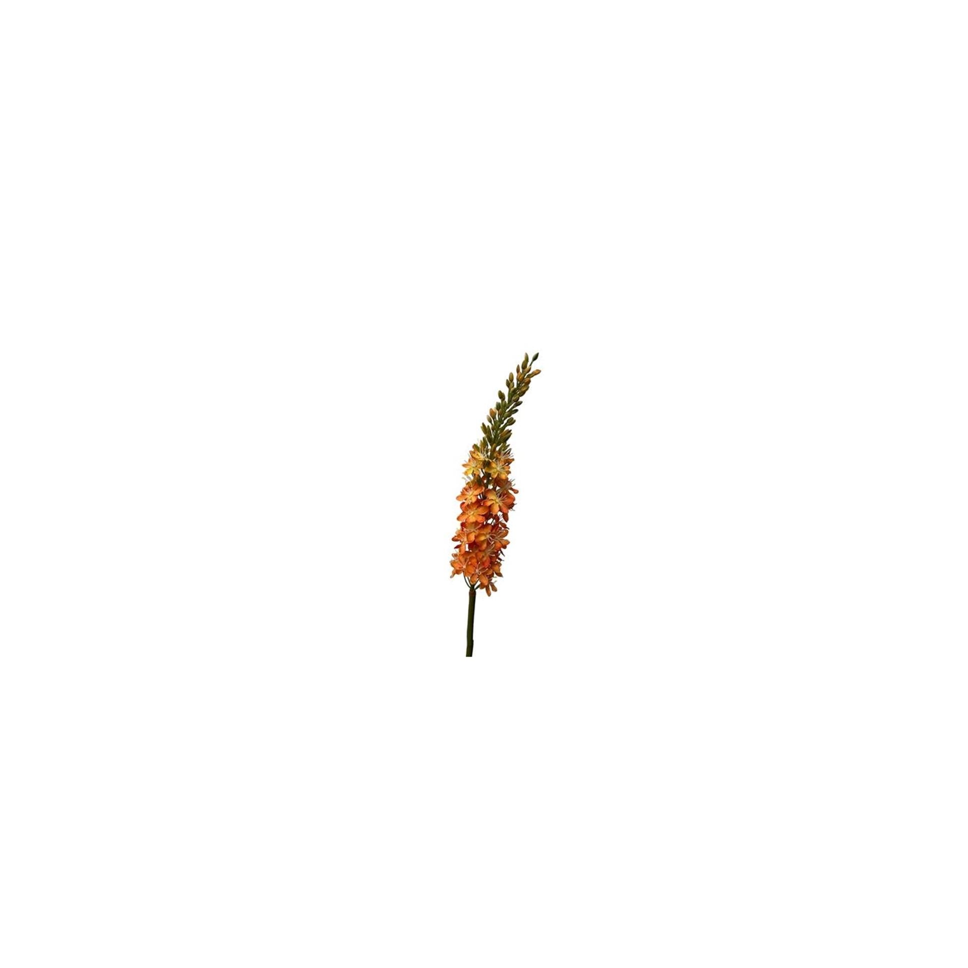 Roberts Collection Kunstblumen-Eremures-Spray, 82 cm, Orange