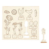 Creativ Company DIY Holzfiguren, L: 15,5 cm, B: 17 cm, Stärke 3 mm, 1 Box