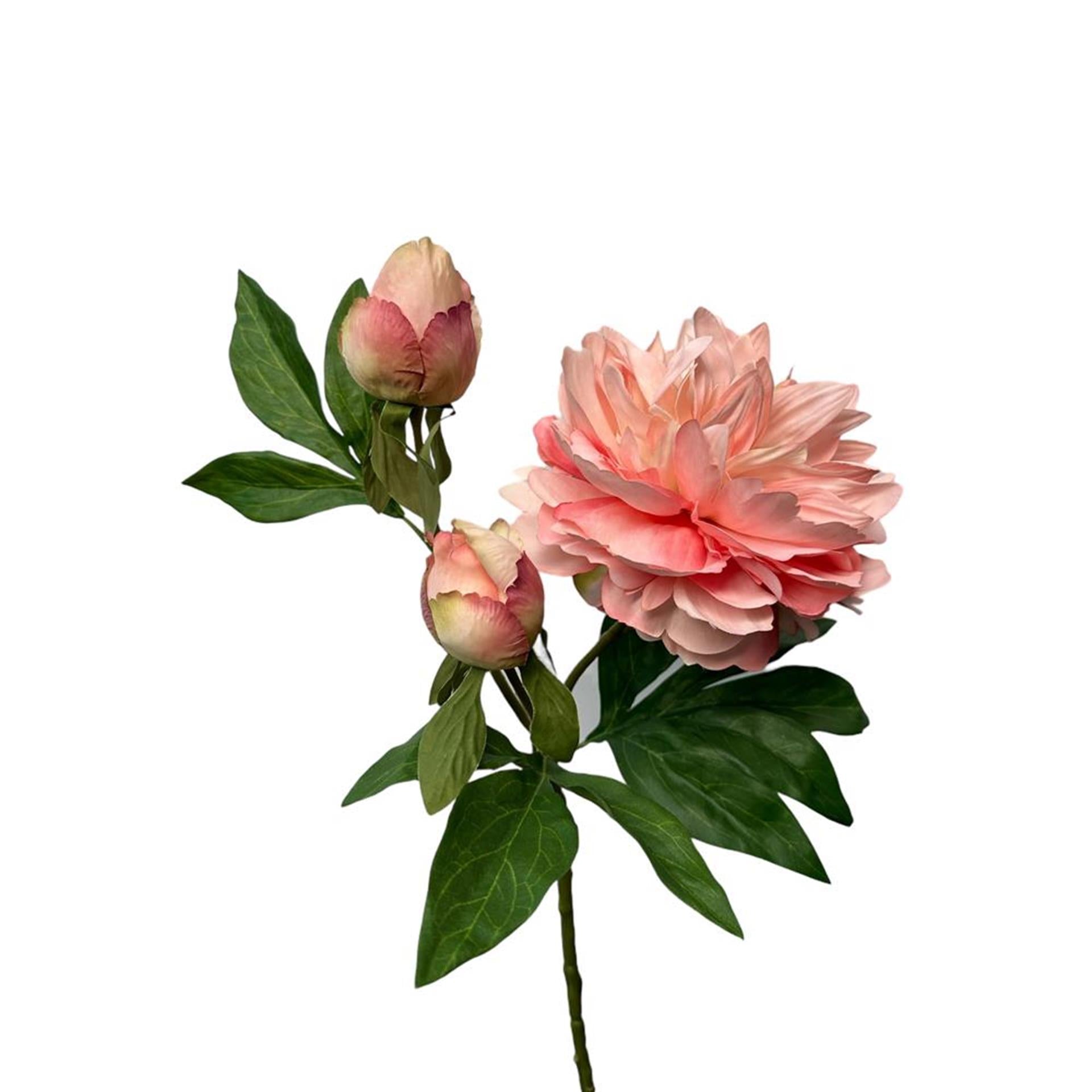 Roberts Collection Kunstblumen-Pfingstrosenspray, 64 cm, Pfirsich