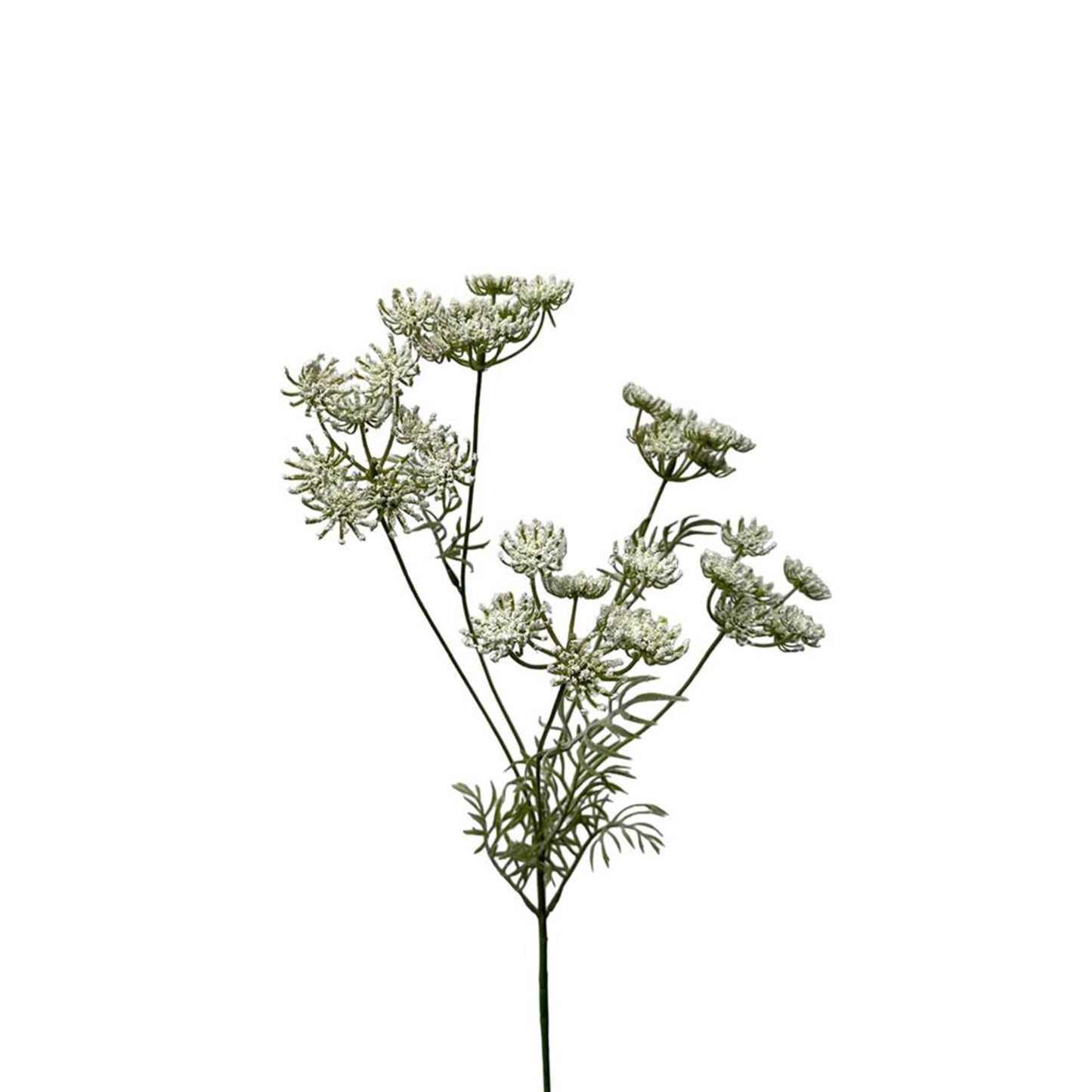 Roberts Collection Kunstblume Dill 80 cm weiß